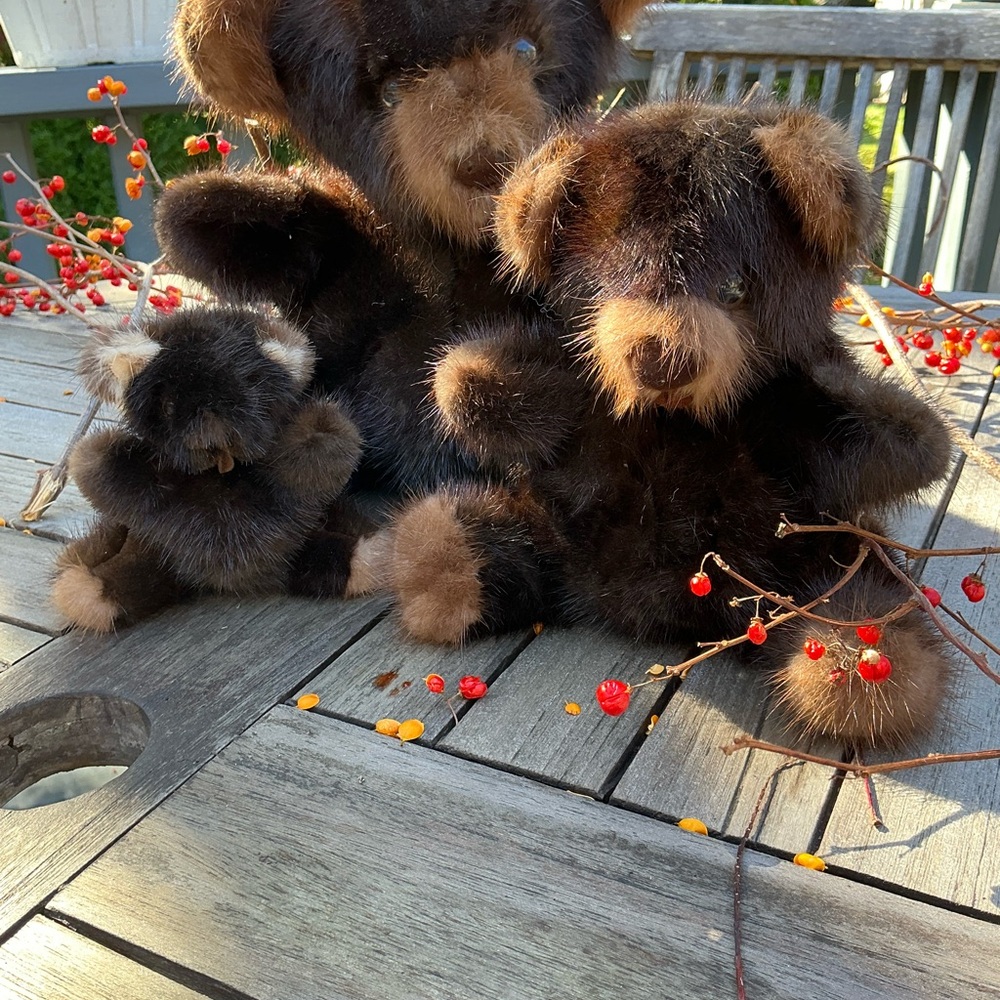 Collectors Rare Authentic Mink Teddy Bears Set by Rare Bear